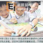 怎么样才能提高小学生阅读能力?